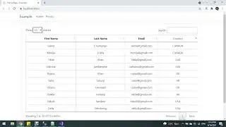Server Side Sorting Searching and Pagination in ASP.NET Core (.NET 5)