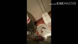Мигранттарга жардам 3