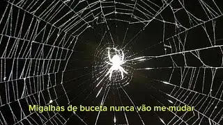 hahapoison - spiders (Legendado Ptbr)