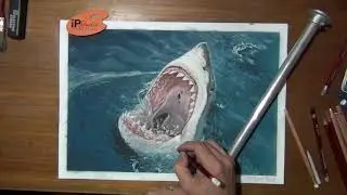 como desenhar um tubarão realista - speed drawing - Curso de Desenho IPStudio