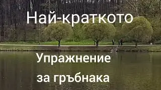 Най краткото упражнение за гърба (без встьпление)