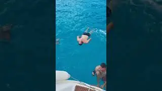 Выпустил боевых дельфинов, собрались  таранить танкер
