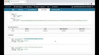 DEMO RECORDING - Understand the Docker Container Image Test Results