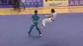 Wushu Exhibition 10th All China Games