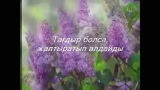 Бағалайық, қолда барда, сезімді...