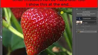 Photoshop Lasso Selections