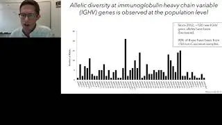Overcoming Complexity to Elucidate the Role of Immunoglobulin Polymorphism