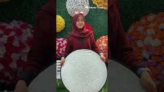Sepenting Apasih Reflector?