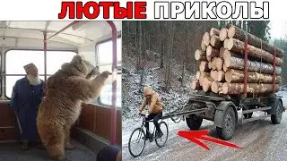 Я ржал до слез 😂 ОТБОРНЫЕ Лютые приколы 2022 Смешные моменты - ТОП Лучшие ПРИКОЛЫ
