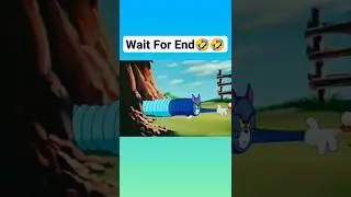 Tom And Jerry😎 Wait For End🥴 #shorts #tomandjerry