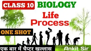 Life Processe Class 10 ONE SHOT |10th Biology   | Ankit Sir |