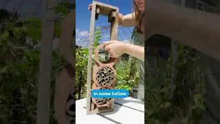 How to make a bug hotel  #garden #wildlifegarden #bugs #bees