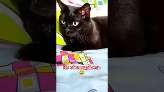 Не обольщайтесь 😂 