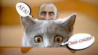 Приколы с котами Магия и коты и смешная озвучка животных!!! (1)