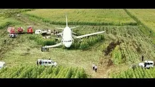 Чудо в кукурузном поле.  Всё прошло по плану.  Мнение Горожанина #2