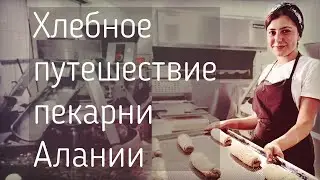 Хлебное путешествие в Аланию