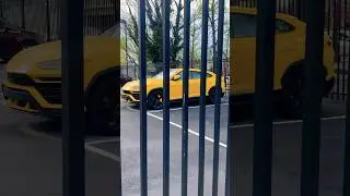 LAMBORGHINI URUS THE 300K SUPER SUV FOR MILLIONAIRES  🐝 