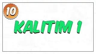10. Sınıf Biyoloji | Kalıtım 1: Eşeyli Üreme ve Kalıtsal Kavramlar