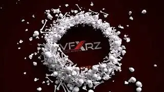 Bones Logo Animation Sample | Hire Logo Animator | Adobe After Effects