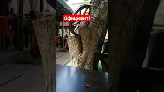 кнопка вызова