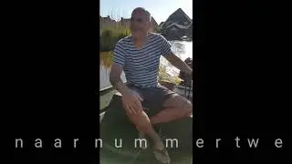 Lam in de sloot