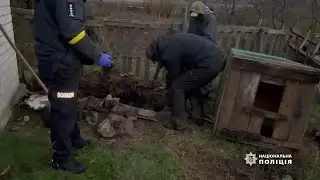 Вбивство в Петриківському районі