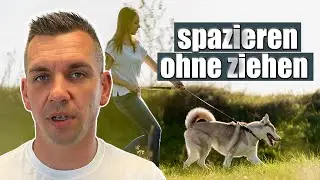 Leinenführigkeit - mit diesem 