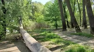 Горска магия край Дунава (Козлодуй)
