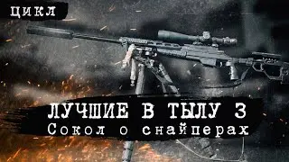 ЛУЧШИЕ В ТЫЛУ 3: СОКОЛ О СНАЙПЕРАХ