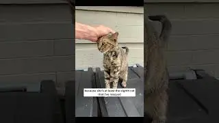 Scooping a friend outside