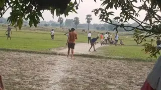 Cricket | Village cricket | Village cricket Bihar