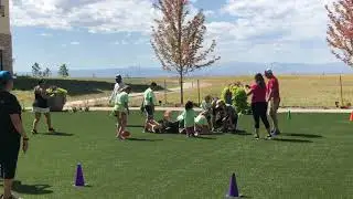 YA Dogpile
