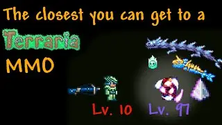 The best RPG experience in Terraria