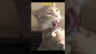 😂😂😂