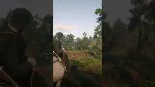 Dumb Ways to Die #rdr2 #shorts #viral #gaming #dumbwaystodie2 #fyp
