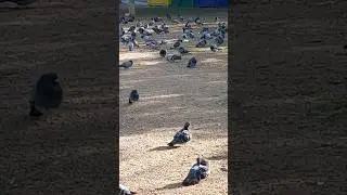 Заставить работать😀 