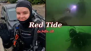 Red Tide at Marine Room, La Jolla