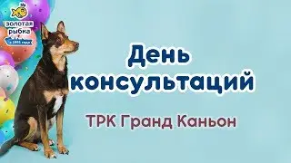 ГК "Золотая рыбка" отметила День рождения в ТРК Гранд Каньоне