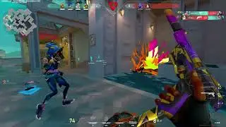1 IQ VIPER Plays in VALORANT