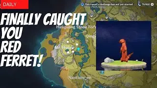 Finding the Darn Red Ferret | Daily Genshin | Genshin Impact