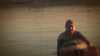 Somn,siluro,catfish 2.30 m