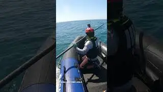 Whale Entanglement Rescue | SeaWorld San Diego
