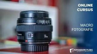 Macrofotografie Online Cursus