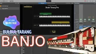 Real Type Banjo | Shahi Tarang Pro For Mainstage | Banjo Kontakt Library | Contact-8400414099
