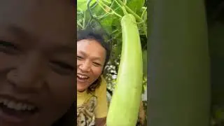 ख़ुद सब्ज़ी लगाके उसे खाने का मज़ा ही कुछ और है बहुत खुश हूँ