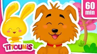 Le chien - Chanson Enfant