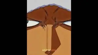 Donquixote Doflamingo 