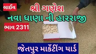 શ્રી ગણેશ નવા ધાણા ના ભાવ 2311 લાઈવ હારરાજી જેતપુર માર્કેટીંગ યાર્ડ તા 04.01.2023 વાર બુધવાર વીડિયો