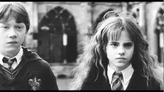A gulf too wide to be bridged [Draco&Hermione]