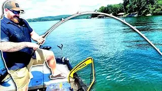Thiefneck Island Catfish Bites A Chunk Off My Finger